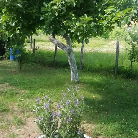 Vikendica Ahatovici 2 Hébergement de vacances Sarajevo