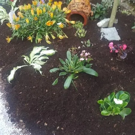 Hébergement de vacances Vikendica Ahatovici 2